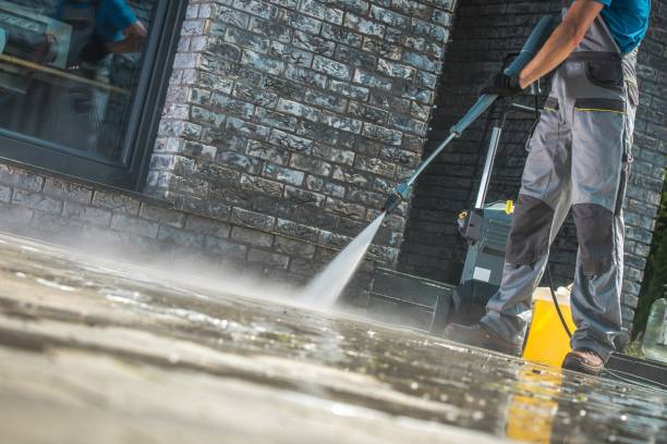 Best Driveway Pressure Washing  in Sale Creek, TN
