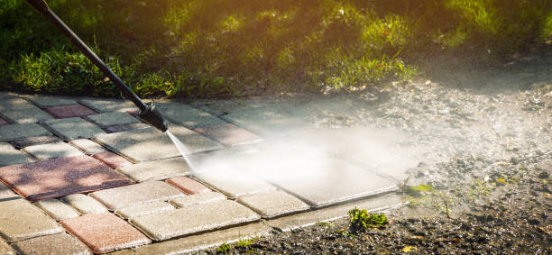Best Animal Enclosure Cleaning  in Sale Creek, TN